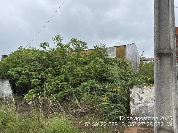 Casa - 2 Quartos - Ceara-mirim - Ocupado — foto 2
