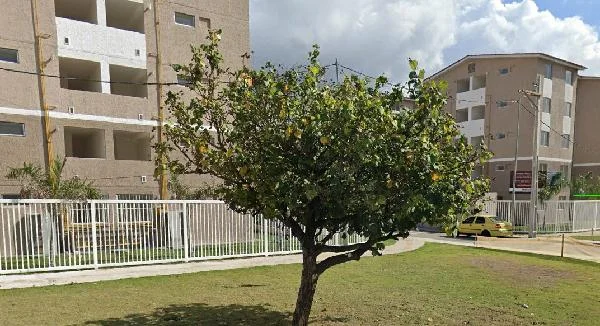 Apartamento - 2 Quartos - Itaborai - Ocupado — foto 2