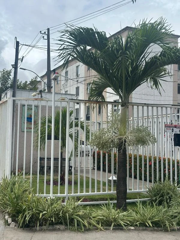 Apartamento - 1 Quartos - Jaboatao dos Guararapes - Ocupado — foto 2