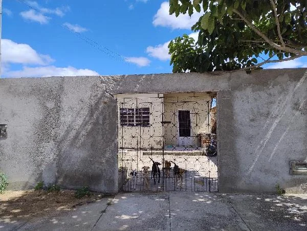 Casa - 2 Quartos - Campina Grande - Ocupado — foto 2