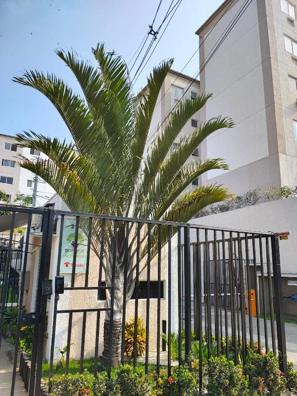 Apartamento - 2 Quartos - Sao Goncalo - Ocupado — foto 2