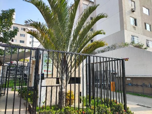 Apartamento - São Gonçalo - Ocupado — foto 2