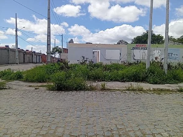 Casa - 2 Quartos - Belo Jardim - Desocupado — foto 2