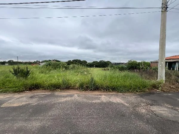 Terreno - Pirangi - Desocupado